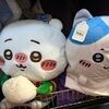 thecoolshopper2